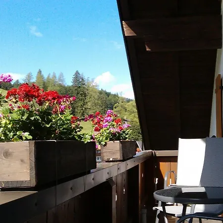 Ferienwohnungen Kral Grainau Kamer foto